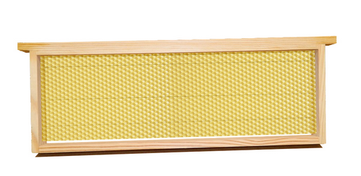 Cadre et feuille de cire armée assemblée 6 1/4