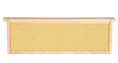 Cadres et feuille de cire assemblé 6 1/4 (sans fil pour rayons de miel)