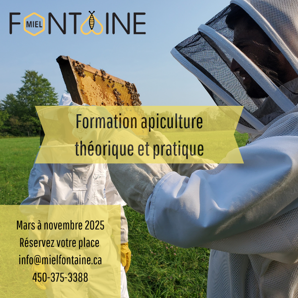 Formation apiculture 2025