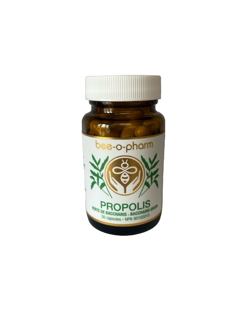 Capsules de propolis verte de baccharis