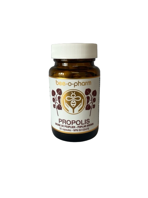 Capsule de propolis brune de peuplier