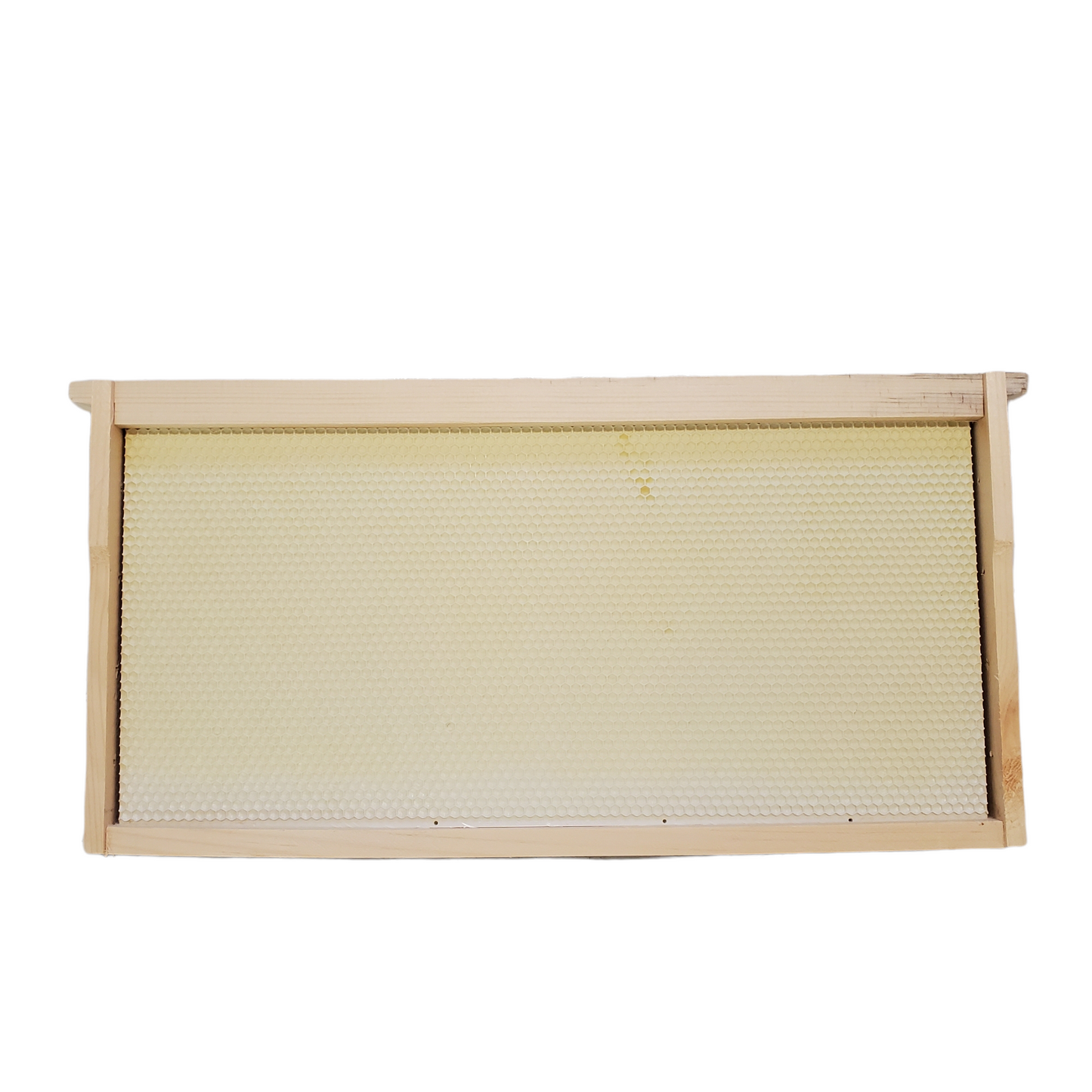 Cadres et feuille de cire 9 1/8 (sans fil/pour rayons de miel) ( non disponible en livraison )