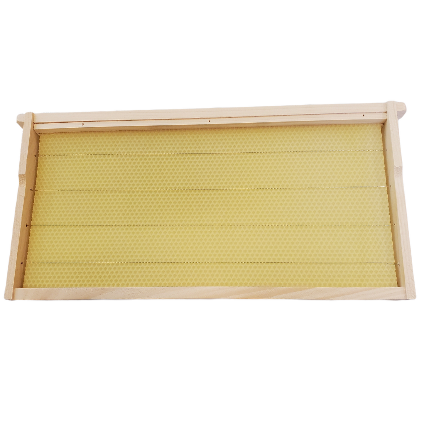 Cadre et feuille de cire armée assemblée 9 1/8 ( non disponible en livraison )