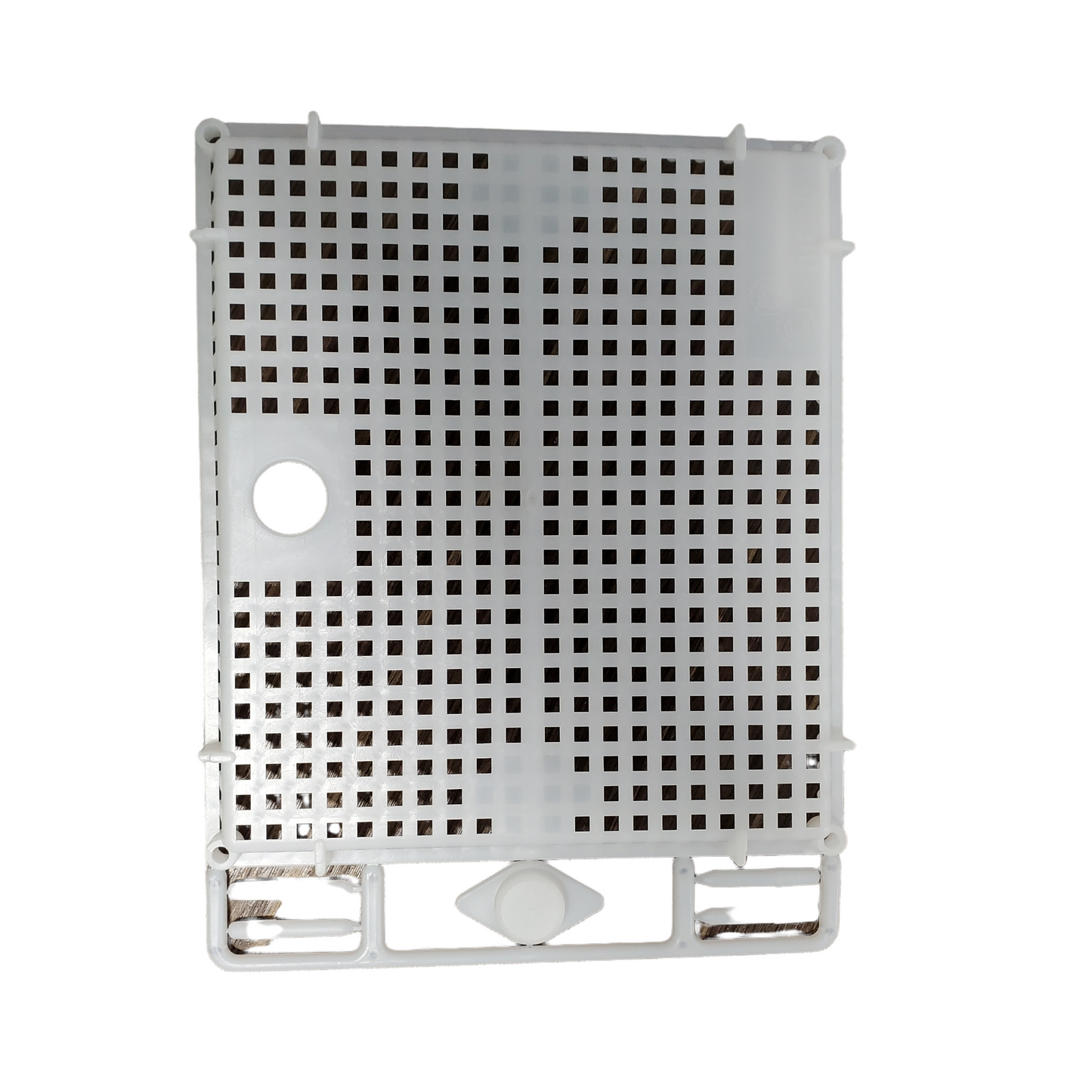 Cage d'introduction pour couvain naissant