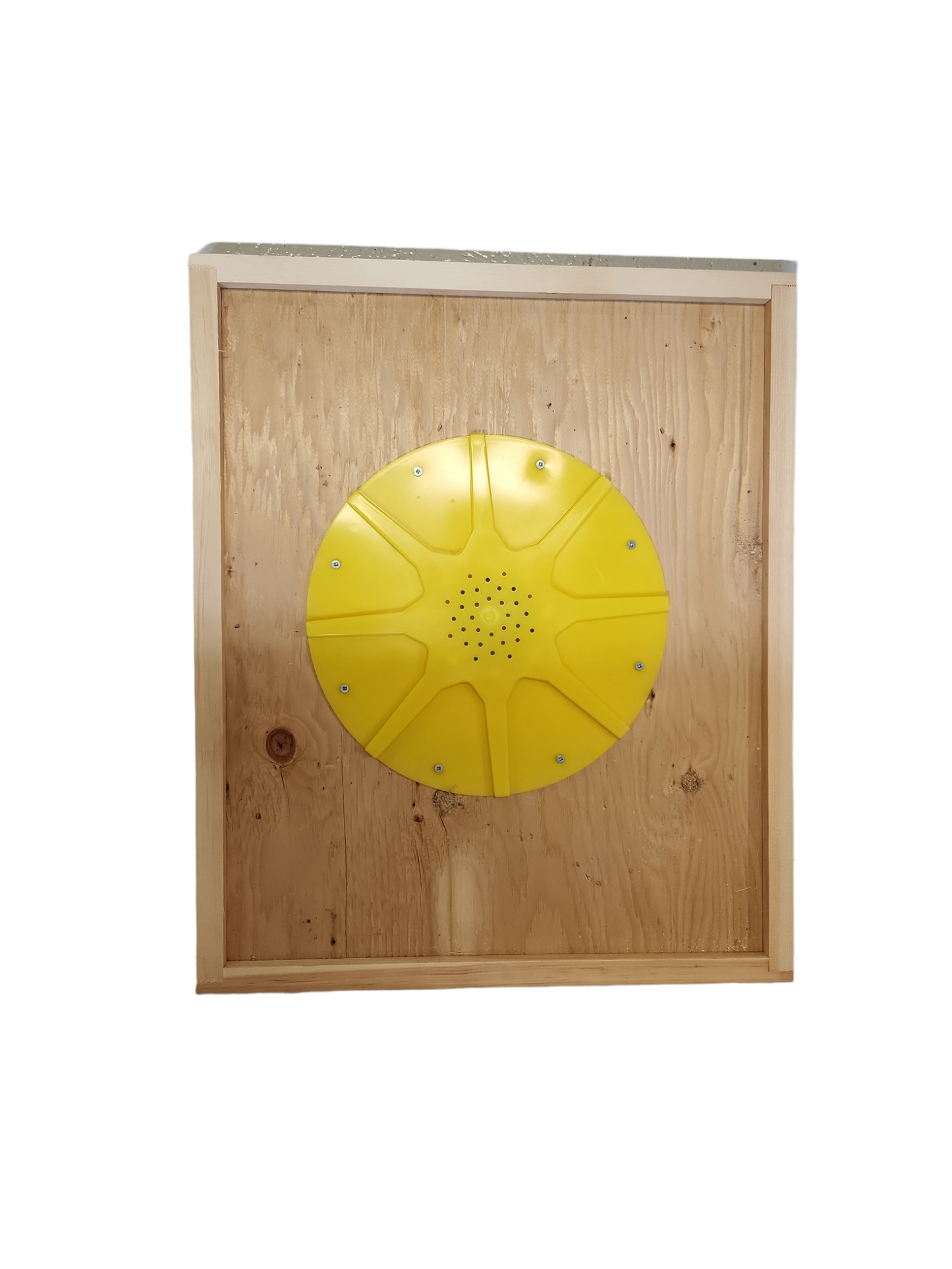 Chasse abeilles